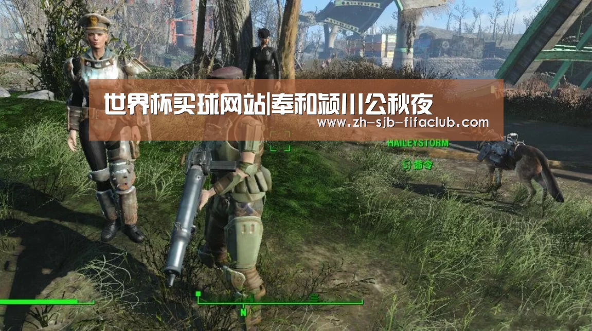 世界杯投注