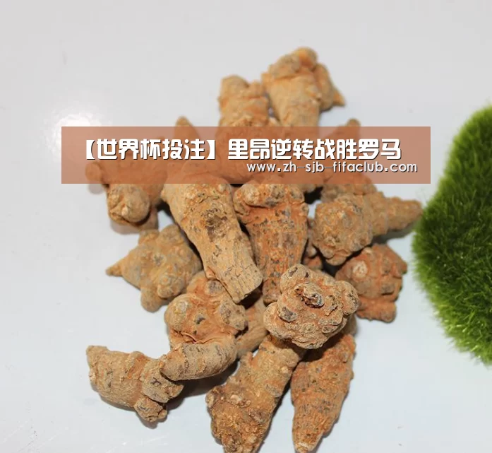 世界杯买球网站