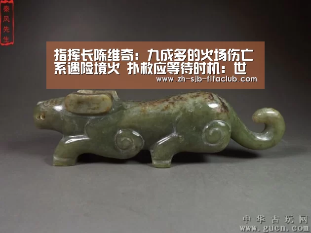 指挥长陈维奇:九成多的火场伤亡系遇险境火 扑救应等待时机:世界杯投注(图1) 世界杯投注