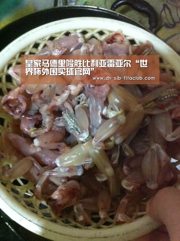 世界杯买球网站