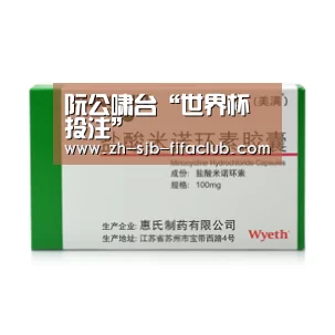 世界杯投注