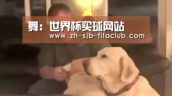 世界杯外围买球官网