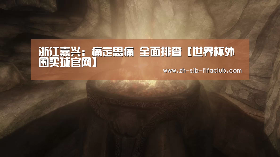 浙江嘉兴:痛定思痛 全面排查【世界杯外围买球官网】(图3) 世界杯外围买球官网