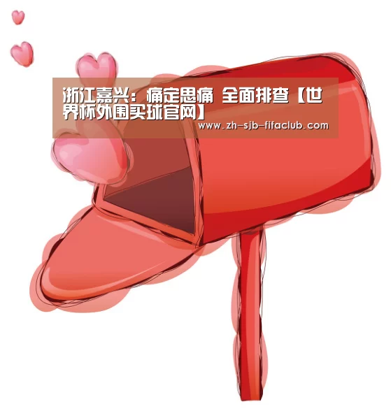 浙江嘉兴:痛定思痛 全面排查【世界杯外围买球官网】(图1) 世界杯投注
