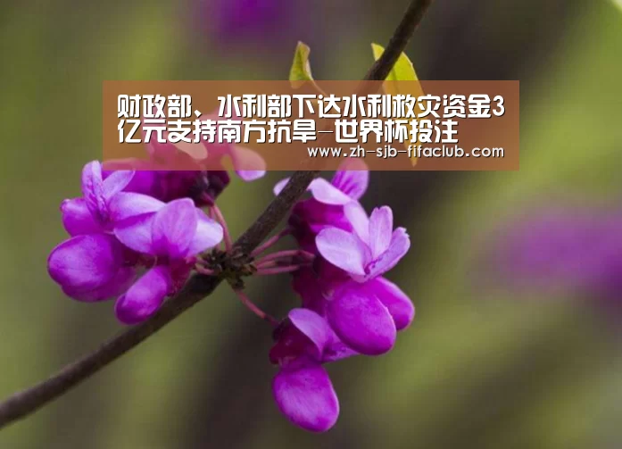 财政部、水利部下达水利救灾资金3亿元支持南方抗旱-世界杯投注(图1) 世界杯投注