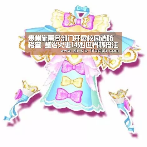 贵州施秉多部门开展校园消防检查 整治火患14处|世界杯投注(图2) 世界杯投注